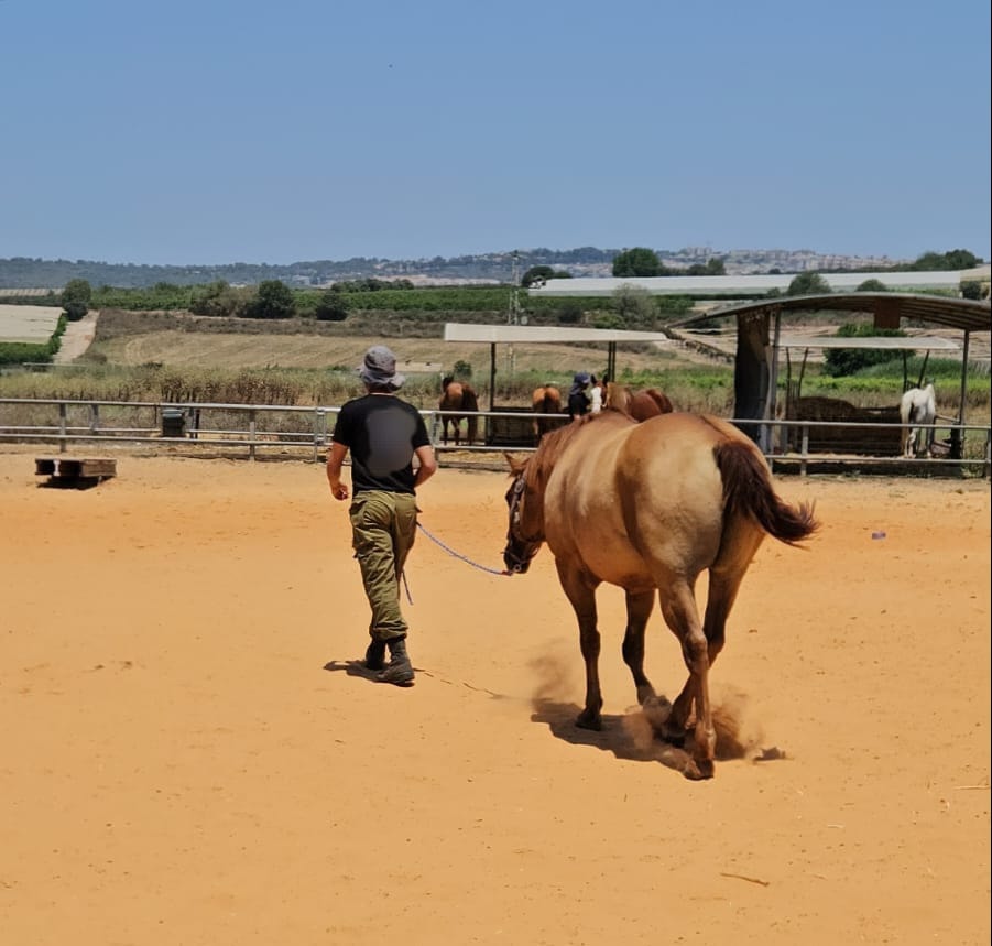 E&D Center - Horses Lead Change
