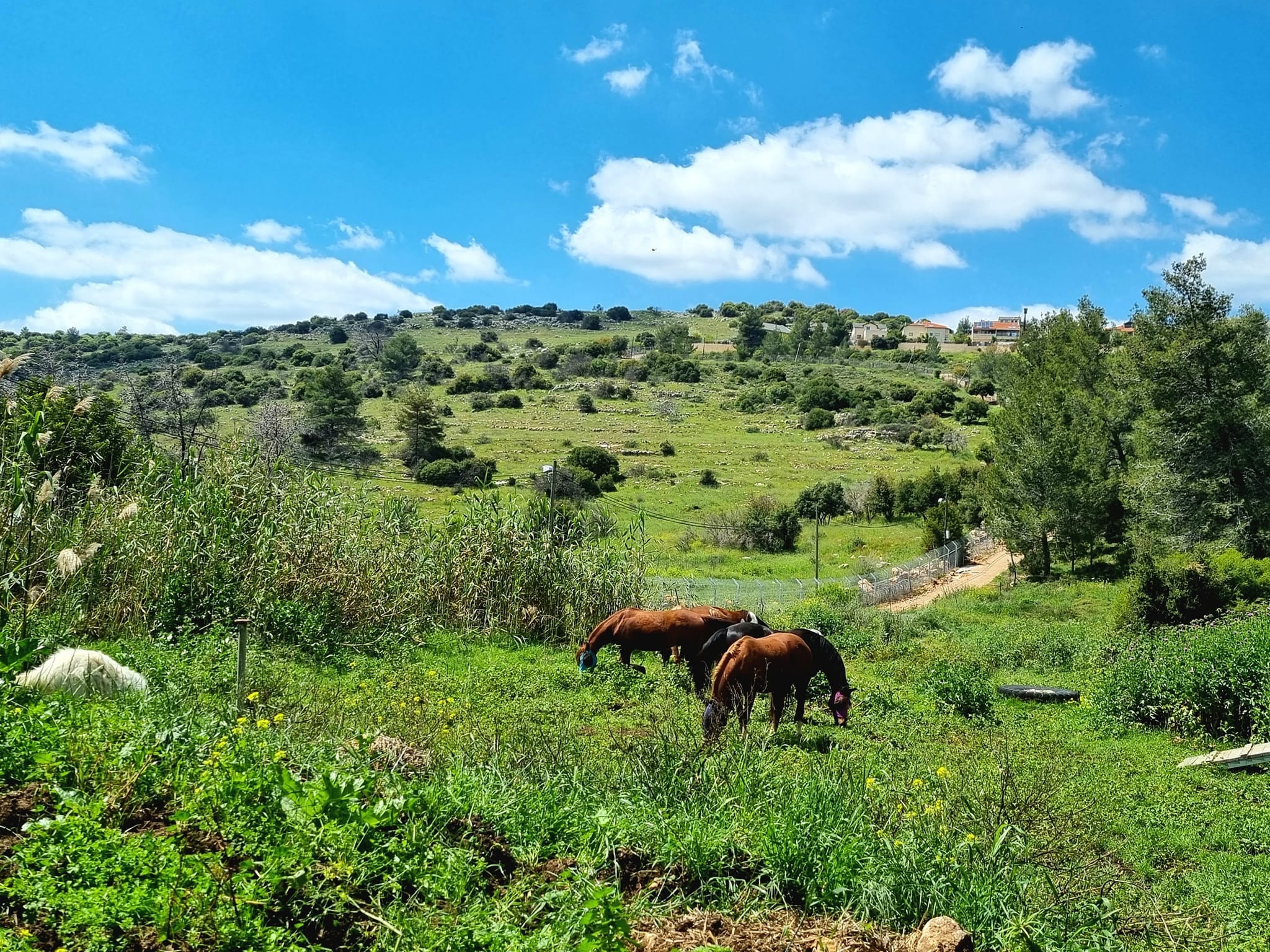 חוות הרי יהודה