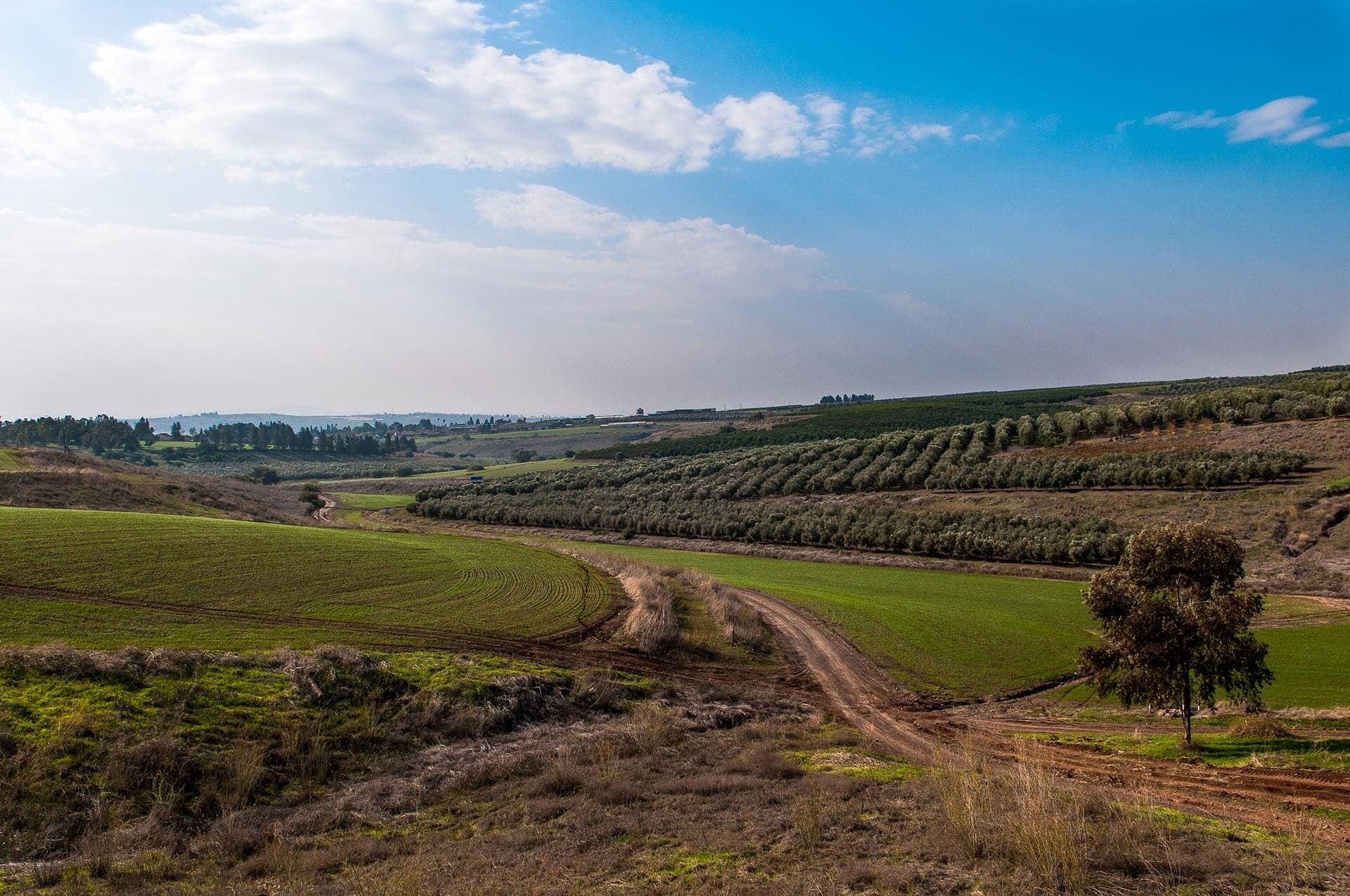 Merhav Neshima Baemek - Support Groups