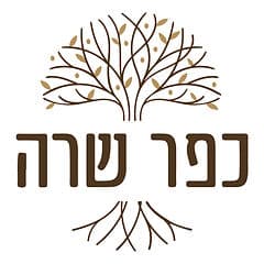 מרחב פתוח בכפר שרה